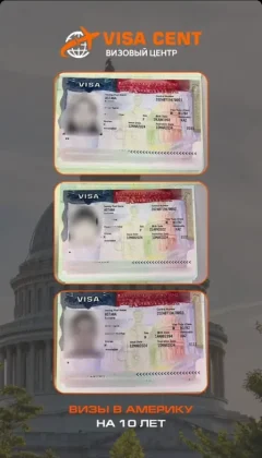 WhatsApp Image 2024-08-17 at 13.15.11