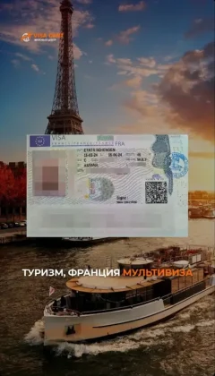 WhatsApp Image 2024-08-17 at 13.15.12